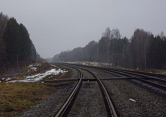 На станции Липовская (2008 г.)
